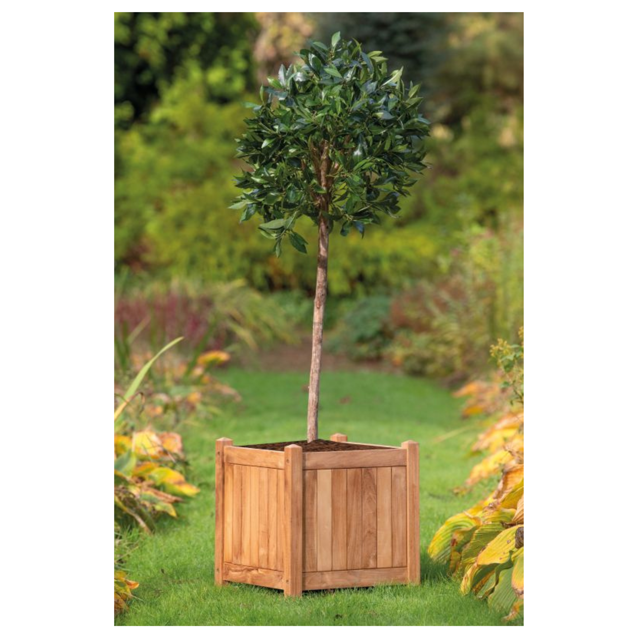 Bloembak Kalimantan 51 x 51 x 56 cm