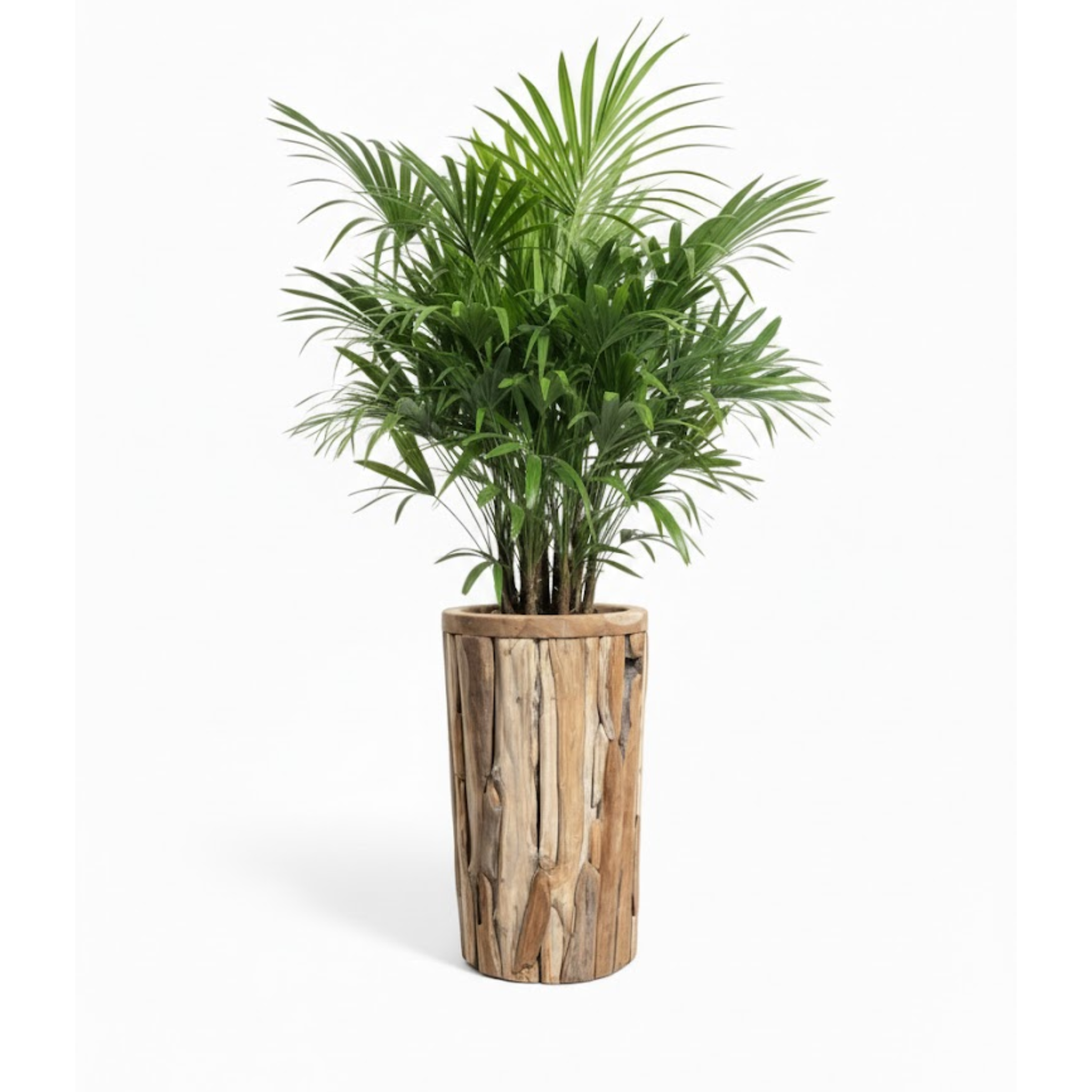 Bloempot Jono cilinder 60cm