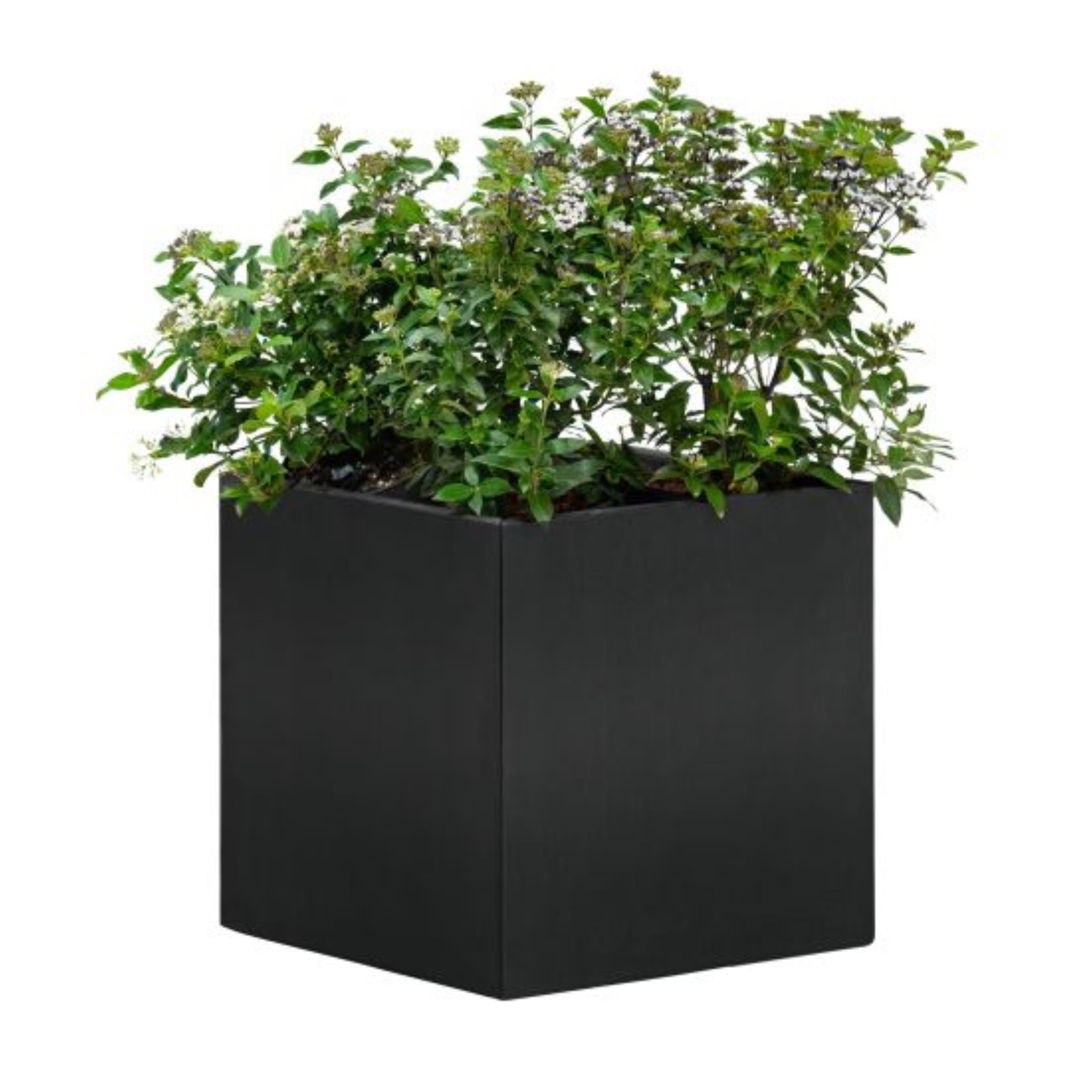 Bloembak Mohawk, zwart gepoedercoat staal 50 x 50 x 50 cm