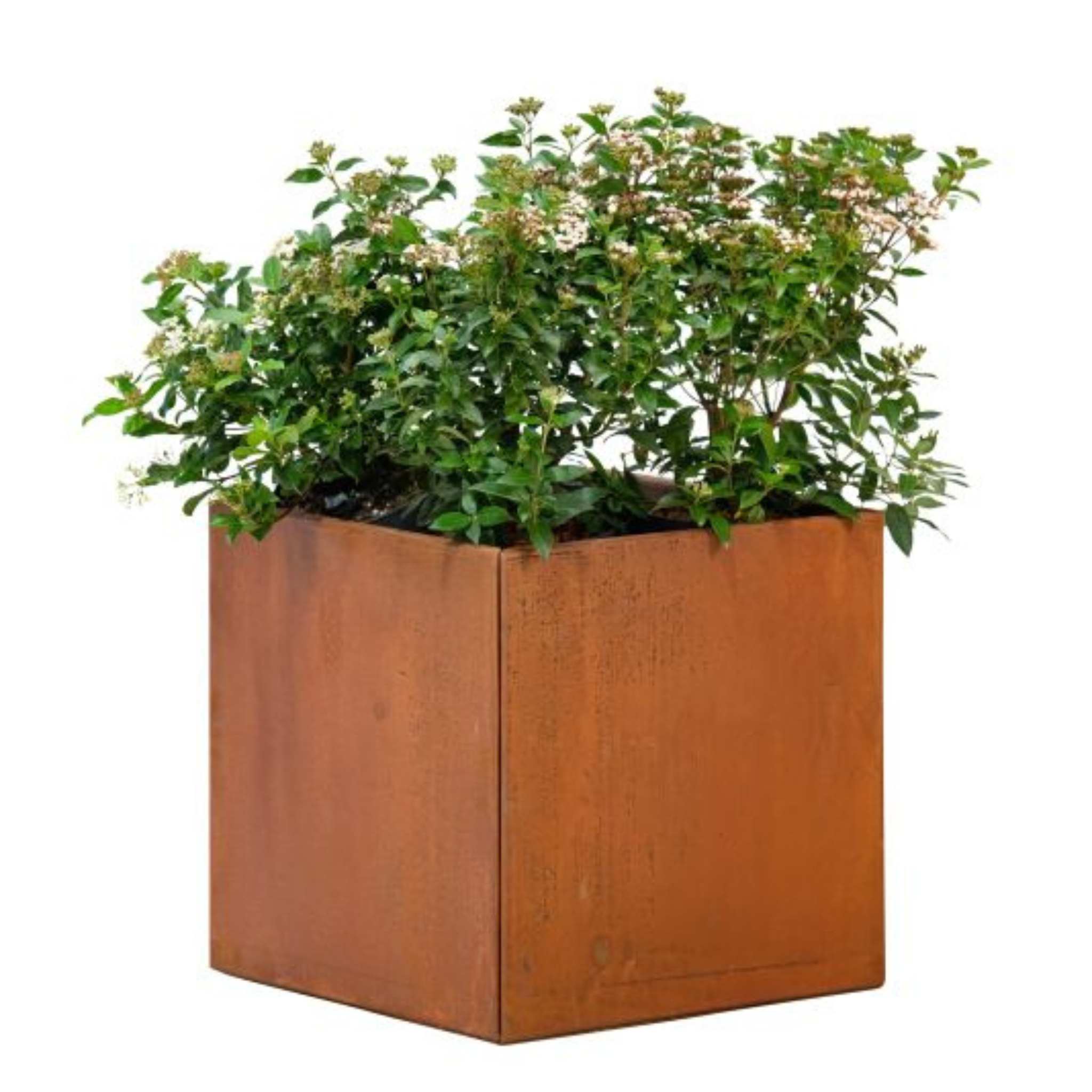 Bloembak cortenstaal Hudson 50 x 50 x 50 cm