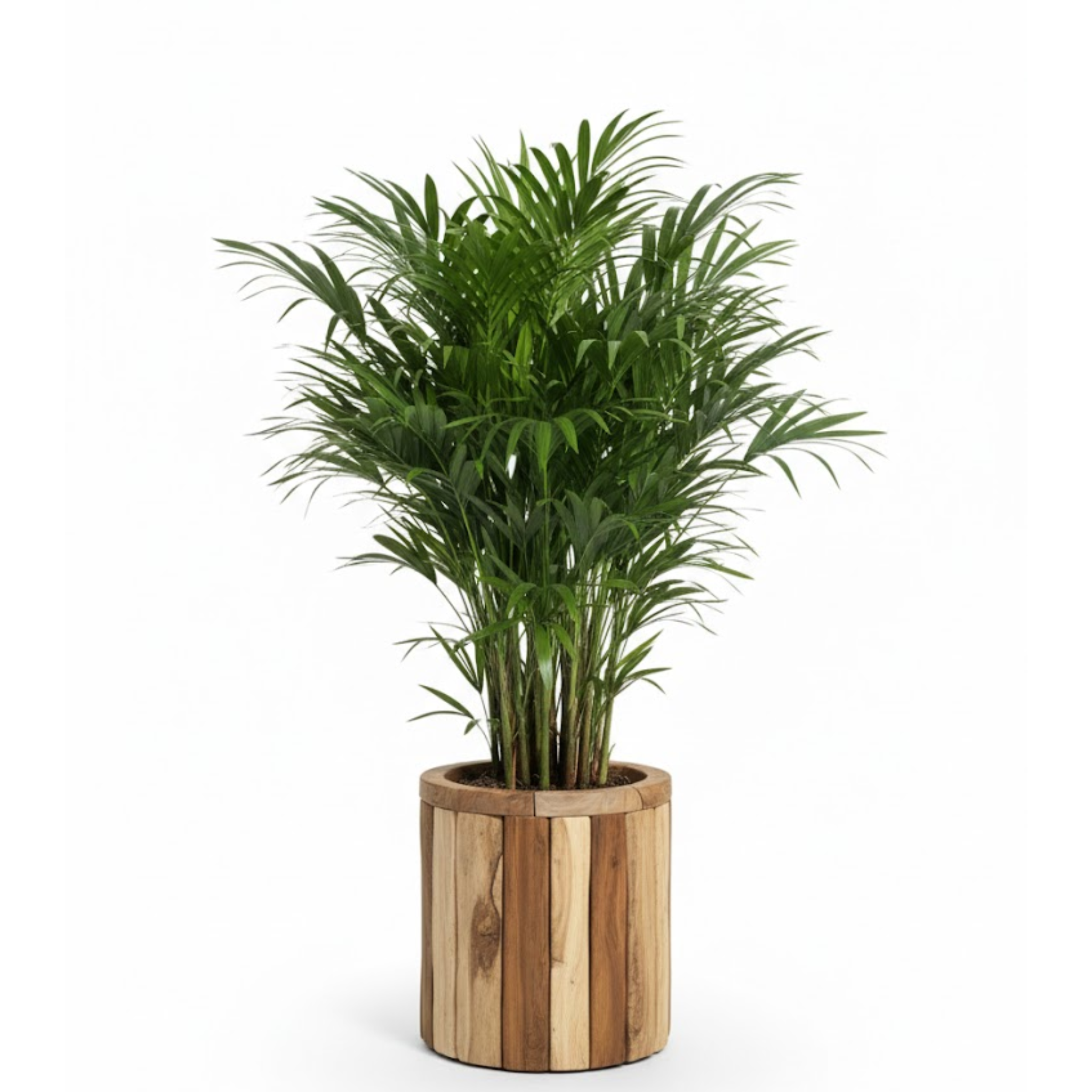 Bloempot Jono cilinder 40cm